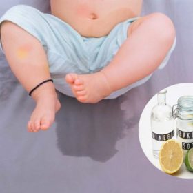 Những mẹo khử mùi và vệ sinh đệm bông ép Hanvico tại nhà