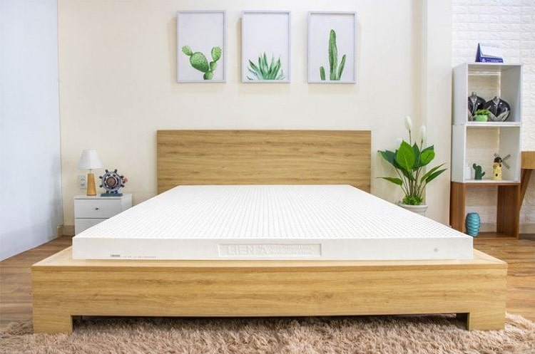 Đệm cao su liên Á có thể bị sai lệch nhỏ về kích thước Đệm cao su Liên Á 2