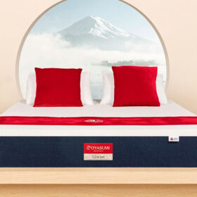 Bật mí top các loại đệm tốt nhất trên thị trường hiện nay